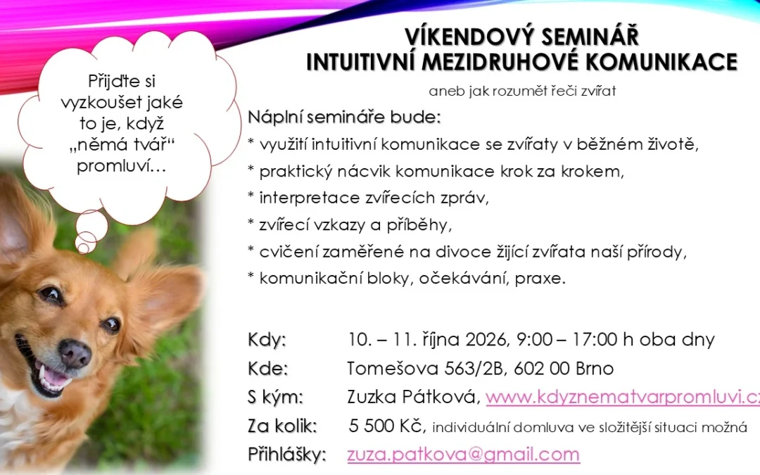 Intuitivní mezidruhová komunikace – aneb jak rozumět řeči zvířat